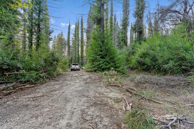 21200 Big Basin Way, Boulder Creek CA: https://media.crmls.org/mediaz/a1272885-be67-4f4f-8477-77fc15b000ff.jpg