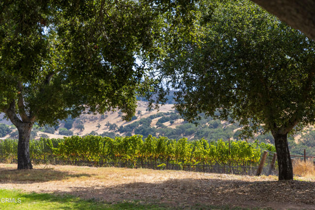 3001 Long Valley Road, Santa Ynez CA: https://media.crmls.org/mediaz/a136034e-72da-4e56-a0b8-3d89e97c6516.jpg