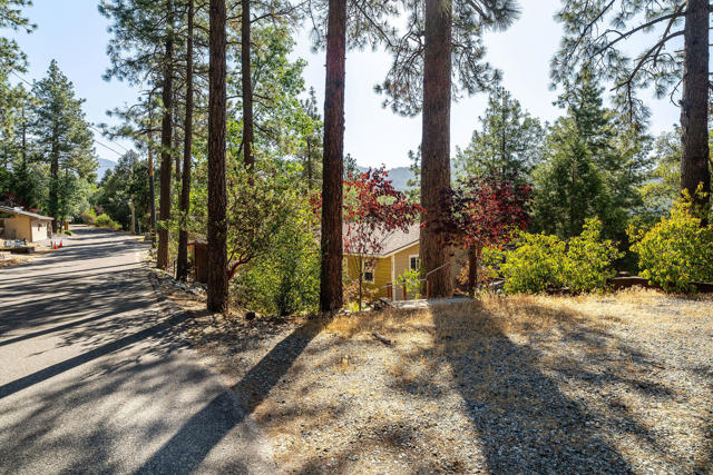 Image 1 of 45 For 53545 Double View Drive