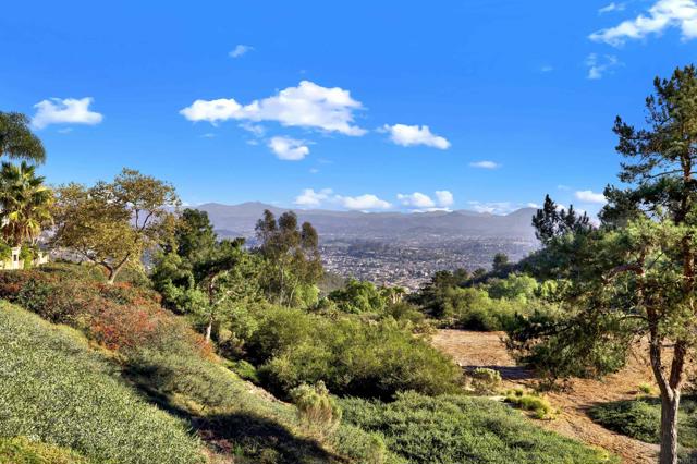 Detail Gallery Image 4 of 47 For 2022 Highland View, Escondido,  CA 92026 - 3 Beds | 2 Baths