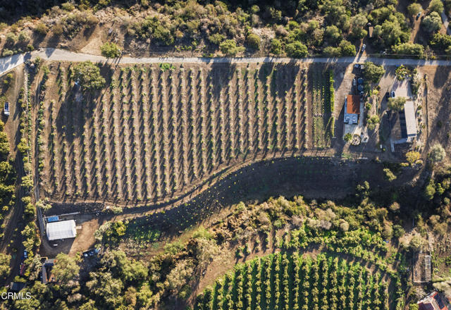 4488 Foothill Road, Carpinteria CA: https://media.crmls.org/mediaz/a1415c27-a302-421a-9fd2-3d1a36082edf.jpg