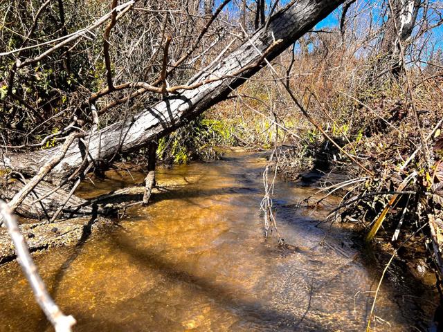 11035 Empire Grade, Santa Cruz CA: https://media.crmls.org/mediaz/a1481b79-d73c-494f-bf74-424336ec609d.jpg