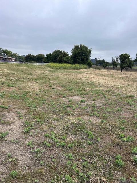 28429 Almona Way, Valley Center CA: https://media.crmls.org/mediaz/a14c413d-433d-4f58-8303-641c4ddea824.jpg