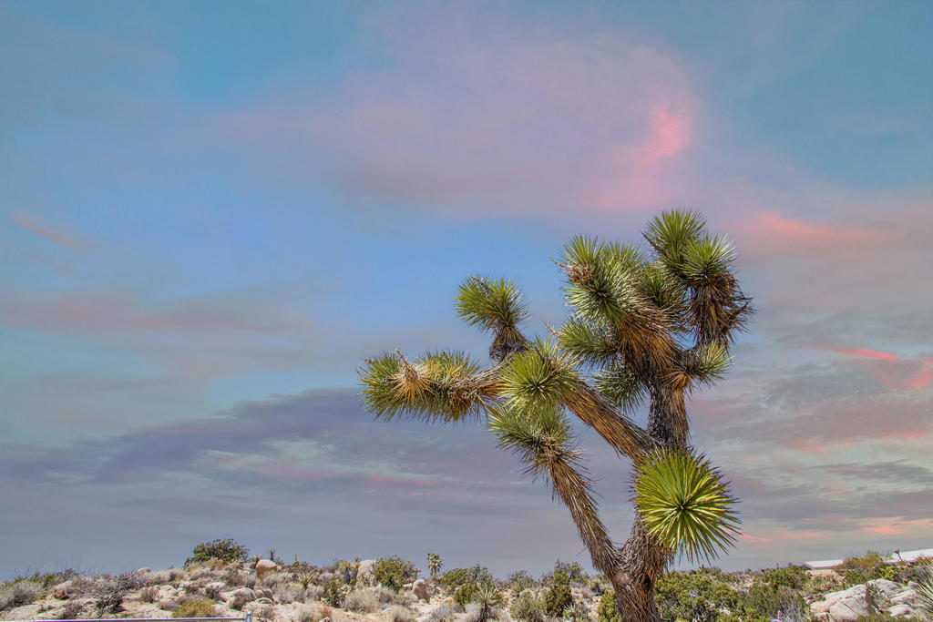 https://media.crmls.org/mediaz/a14edb4d-4f84-4497-8238-974b86659543.jpg?preset=X-Large