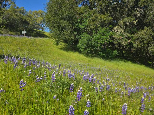 16 SLEEPY HOLLOW DRIVE, Carmel Valley CA: https://media.crmls.org/mediaz/a1526096-9d16-468d-9821-16eb82bd6656.jpg