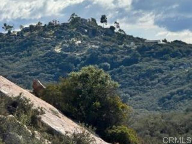 MLS #NDP2408961 image #10