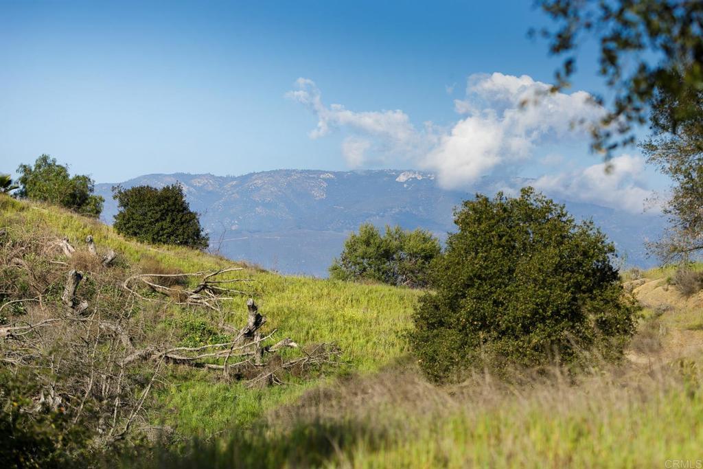 MLS #NDP2506437 image #11