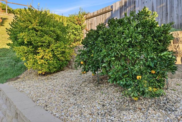 17570 Montero Rd, San Diego CA: https://media.crmls.org/mediaz/a15b4dd5-5927-450e-98ad-afc503823a04.jpg