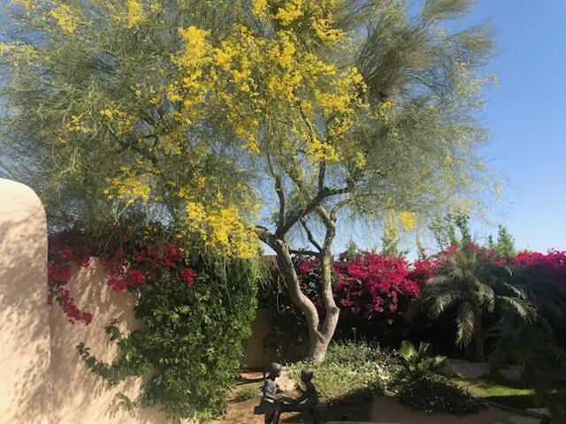 49240 Jfk Trail, Palm Desert CA: https://media.crmls.org/mediaz/a160d42d-596a-4e19-9c78-05c2049e9a16.jpg