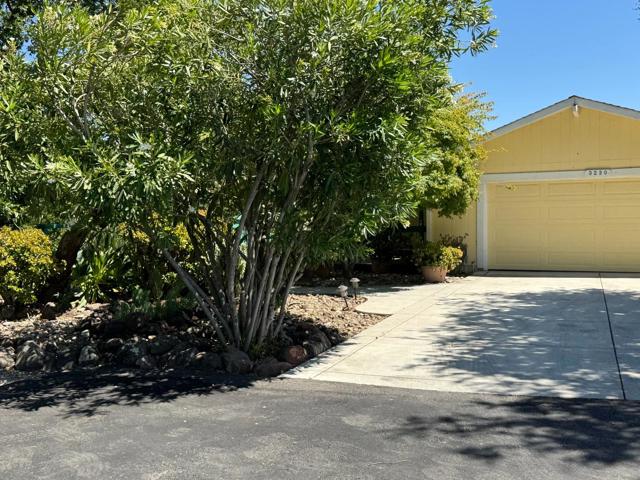 3230 Oak View Lane, Morgan Hill CA: https://media.crmls.org/mediaz/a163c0c8-1702-4499-9d7e-e05be2d48f8d.jpg