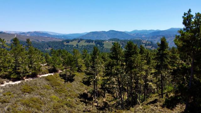 2 Monterra Ranch, Monterey CA: https://media.crmls.org/mediaz/a16f87a2-cf50-4594-aaea-66e8b9caef42.jpg