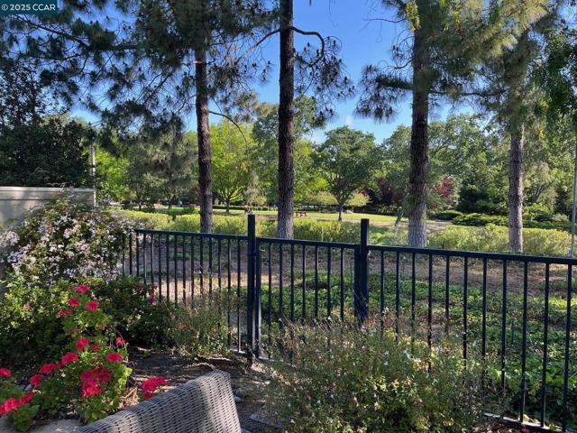 1201 Golden Rain Road, Walnut Creek CA: https://media.crmls.org/mediaz/a1715273-34e5-4c8b-97bd-8aeb3804e7d1.jpg