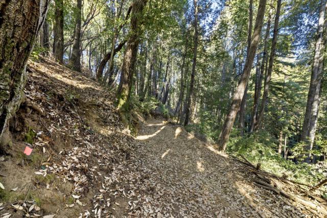 0 Western, Brookdale CA: https://media.crmls.org/mediaz/a17a4110-2df5-43da-96f9-c0952b0619b0.jpg