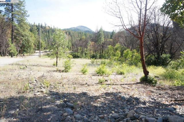 101 River Acres, Junction City CA: https://media.crmls.org/mediaz/a17a6d37-170c-4a12-a7a2-5b9ffeca3af0.jpg