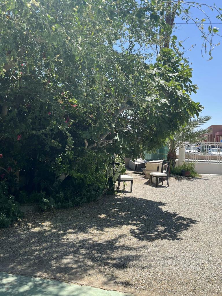 MLS #219138573DA image #3