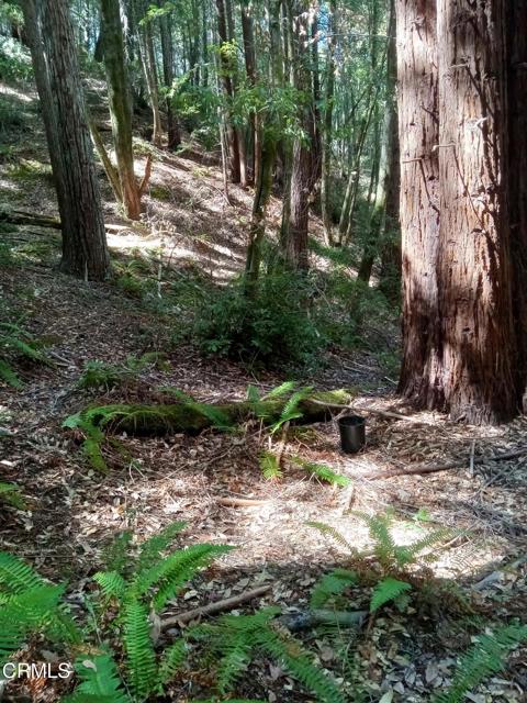 Detail Gallery Image 12 of 13 For 19800 Appaloosa Way, Philo,  CA 95463 - – Beds | – Baths