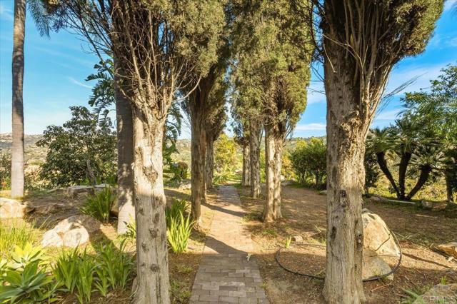 Detail Gallery Image 32 of 55 For 1050 Rice Canyon Rd, Fallbrook,  CA 92028 - 5 Beds | 4/2 Baths