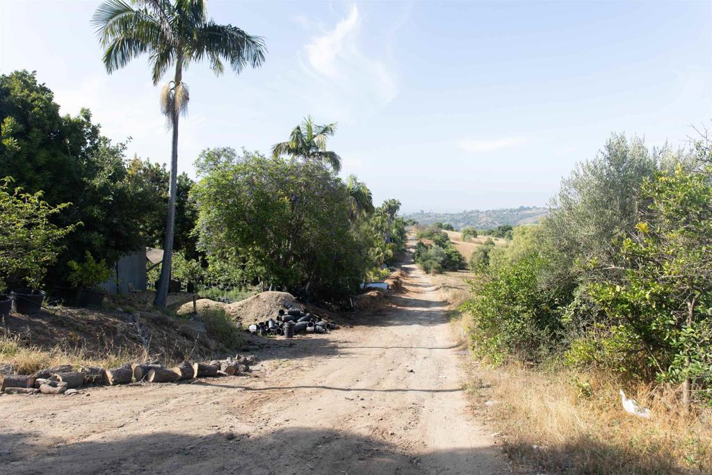 MLS #NDP2505846 image #21