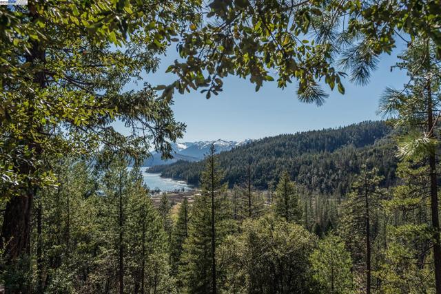 8341 East Side Rd, Trinity Center CA: https://media.crmls.org/mediaz/a1a2a307-29a0-4417-b960-7805c30aae08.jpg