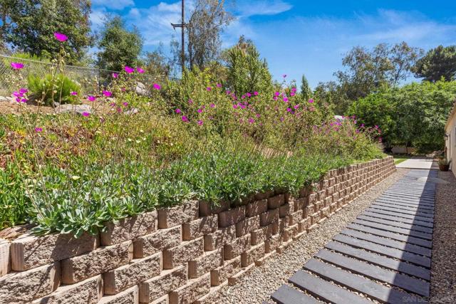 Image 42 of 53 For 1839 Avocado