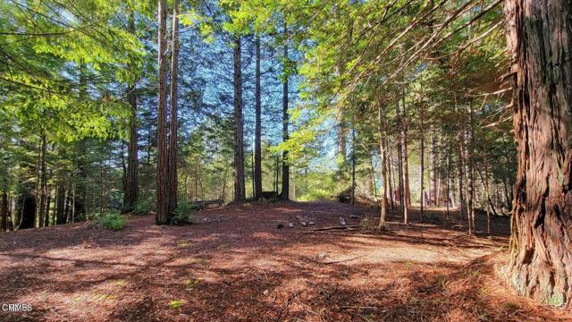 Detail Gallery Image 13 of 15 For 12301 Docker Hill Rd, Comptche,  CA 95427 - – Beds | – Baths