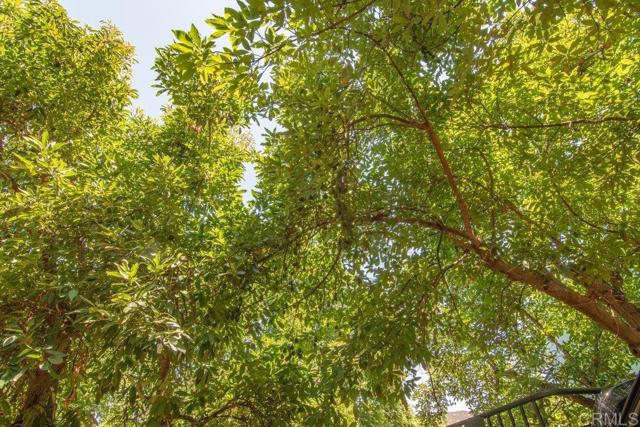 3137 E Valley Parkway, Escondido CA: https://media.crmls.org/mediaz/a1a75d10-8dab-413b-885e-5c0dc0a55f62.jpg