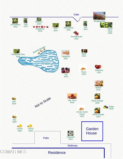 Backyard Fruit Tree Diagram