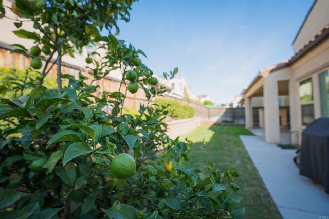 Detail Gallery Image 18 of 27 For 1127 Calle Pilares, Chula Vista,  CA 91913 - 4 Beds | 3/1 Baths