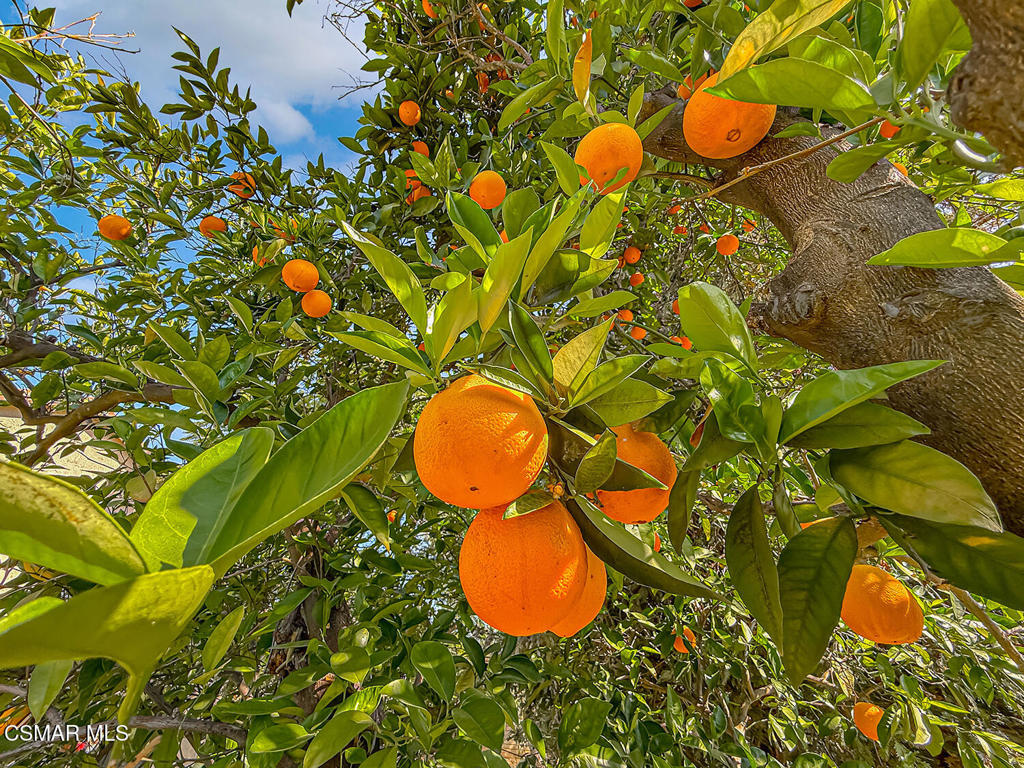 https://media.crmls.org/mediaz/a1b81fbb-dbf2-419a-aaef-b044f55212d0.jpg?preset=X-Large