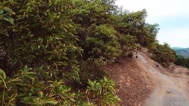 Detail Gallery Image 13 of 18 For 1411 Wild Acres Rd., Vista,  CA 92084 - – Beds | – Baths