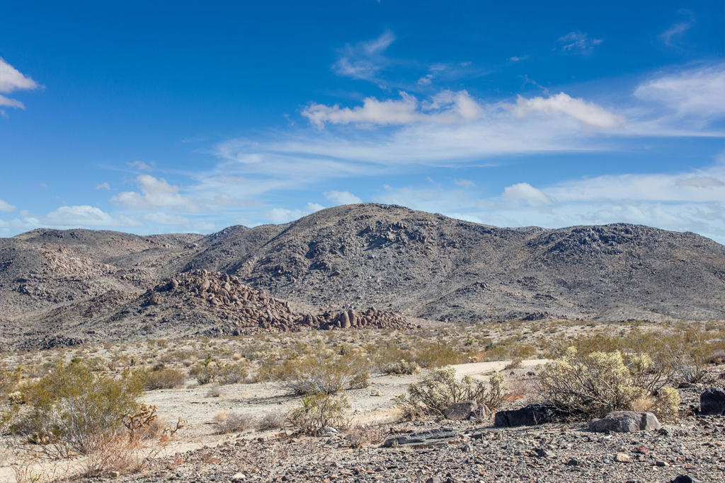 MLS #219131400PS image #17