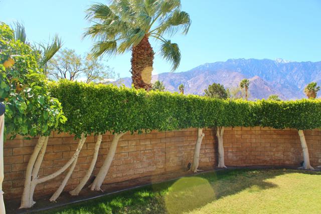 1181 Sunflower Lane, Palm Springs CA: https://media.crmls.org/mediaz/a1cc108c-6942-4eb7-84d8-bcedf16be091.jpg