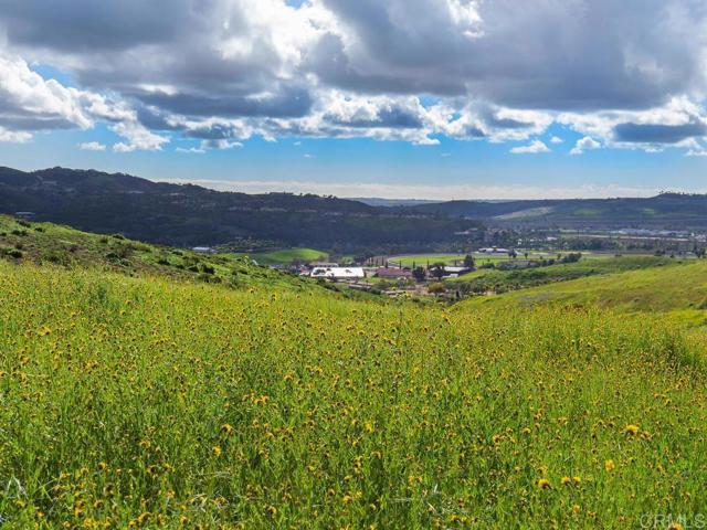 0 Chisholm Trail, Bonsall, California 92003, ,Land,For Sale,0 Chisholm Trail,CRNDP2400890