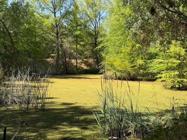 7555 Merced Falls Road, Snelling CA: https://media.crmls.org/mediaz/a1d7244b-09d8-468a-8166-cc53fe95d9fb.jpg