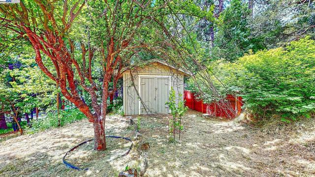 23357 Middle Camp Rd, Twain Harte CA: https://media.crmls.org/mediaz/a1d87902-1bb2-4af5-95c0-93fa7cf97c8d.jpg