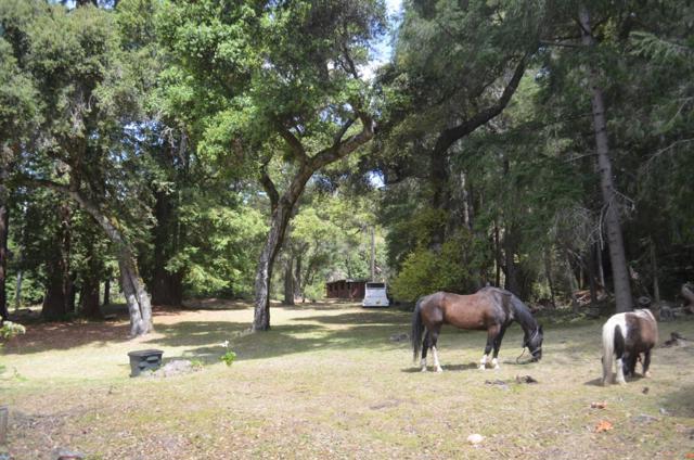 17337 Debbie Road, Los Gatos CA: https://media.crmls.org/mediaz/a1db9ae1-b62c-4130-ace1-9cb87a62863a.jpg