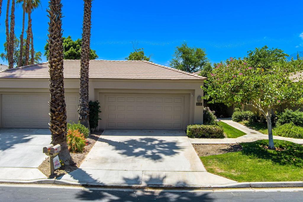 80601 Oak Tree