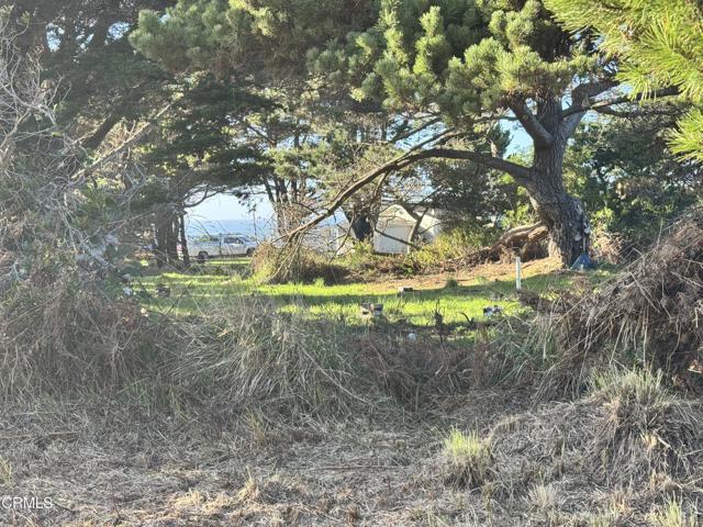 Detail Gallery Image 4 of 10 For 25261 Ward Ave, Fort Bragg,  CA 95437 - – Beds | – Baths