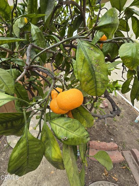 Detail Gallery Image 19 of 19 For 396 Baker Ave, Ventura,  CA 93004 - 3 Beds | 2 Baths