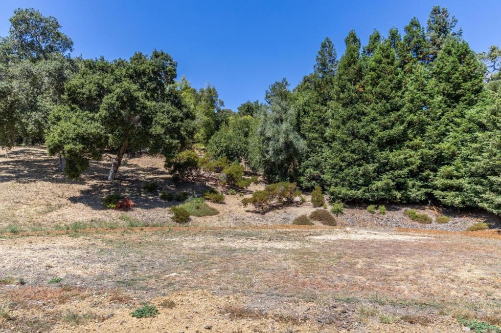 MLS #ML81992662 image #4