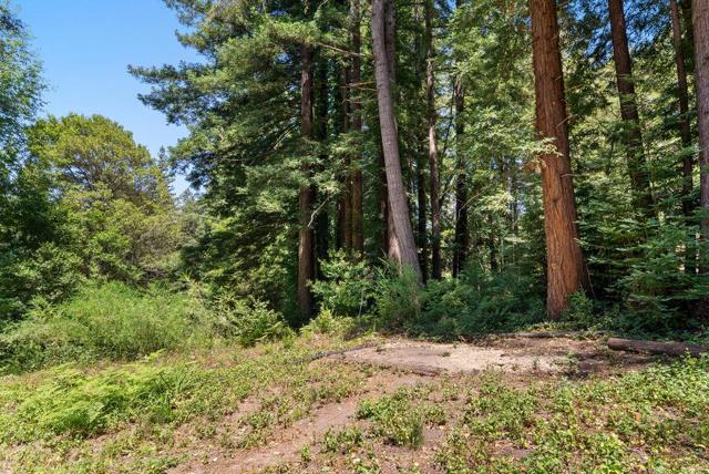 1116 Lakeside Drive, Felton CA: https://media.crmls.org/mediaz/a20768e8-6530-45c5-9ed1-fea176b4d353.jpg