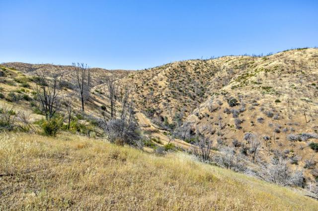 14600 Del Puerto Canyon Road, Newman CA: https://media.crmls.org/mediaz/a20b6968-53a9-47a3-aad5-95b4874702ee.jpg