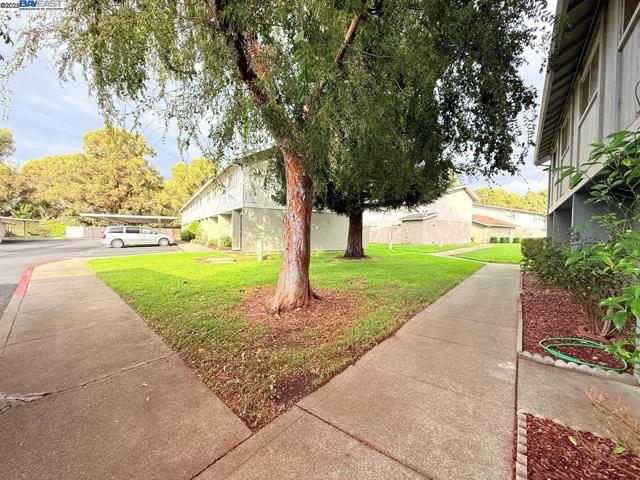 68 El Toro Ct, Fairfield CA: https://media.crmls.org/mediaz/a20d35c3-da31-4379-a741-f8cbea403361.jpg