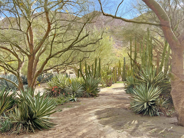 82501 65th Avenue, Thermal CA: https://media.crmls.org/mediaz/a211a0c8-12ba-476e-b0eb-7ab153d21bfd.jpg