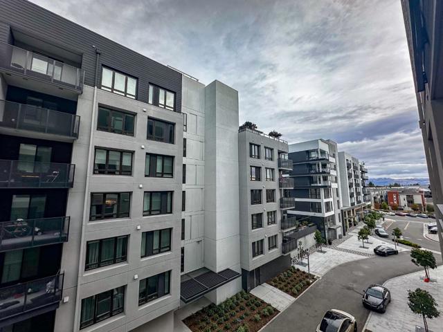 Image 6 of 31 For 3578 Rambla Place 425