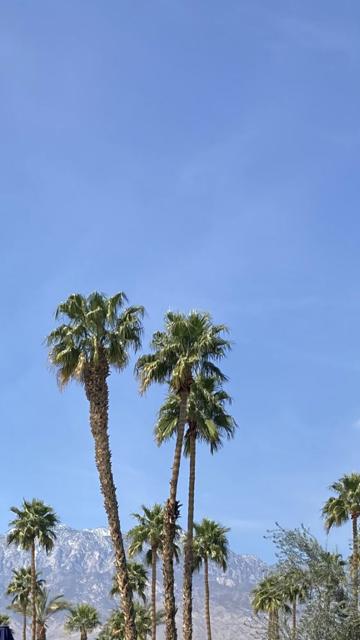 69411 Ramon Road, Cathedral City CA: https://media.crmls.org/mediaz/a21df98a-74ff-481e-9730-08c5deb34897.jpg