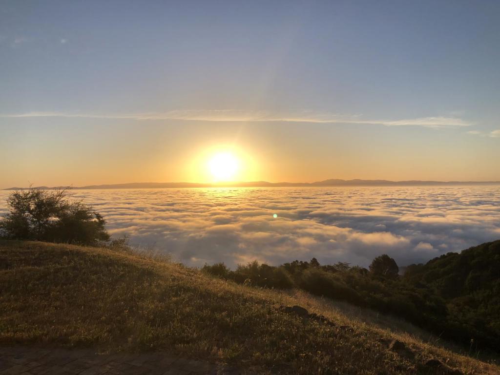 https://media.crmls.org/mediaz/a22784f5-16b0-4d83-819c-9be99efb8174.jpg?preset=X-Large
