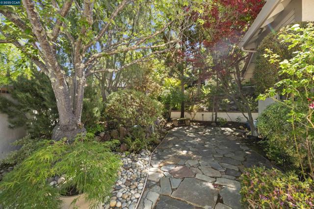 709 Liquidamber Pl, Danville CA: https://media.crmls.org/mediaz/a22f23de-e2f7-4762-83af-985d029b0c43.jpg
