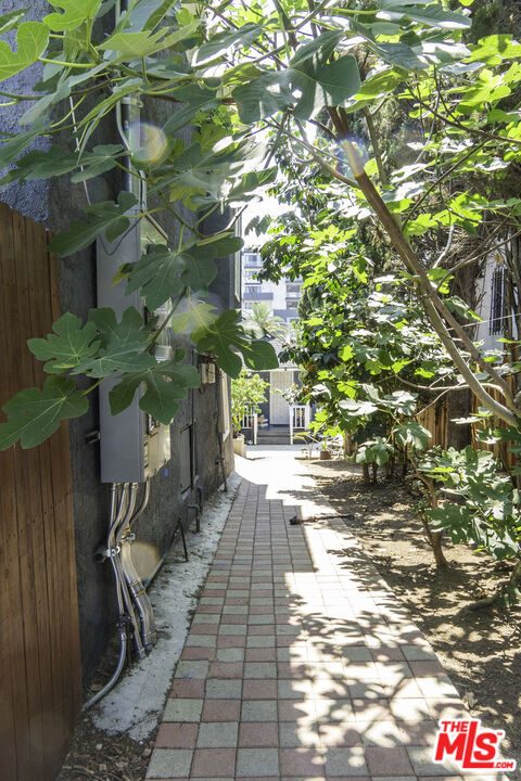 346 Laveta Terrace photo 40