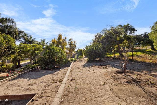 590 Alosta Drive, Camarillo CA: https://media.crmls.org/mediaz/a244b563-2869-4b06-bc15-79374243cbd3.jpg